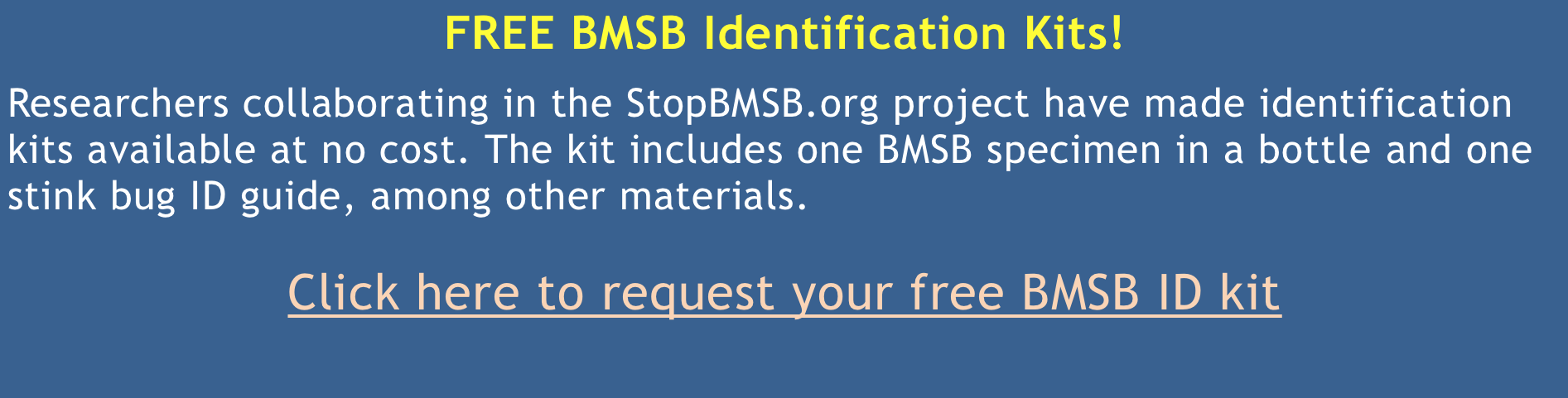 BMSB Identification Kit