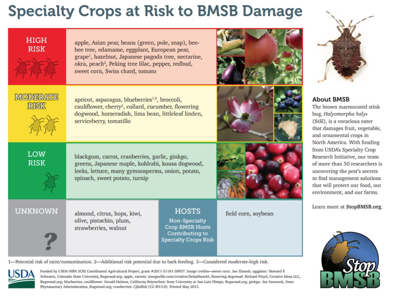 Crops at Risk to BMSB Damage