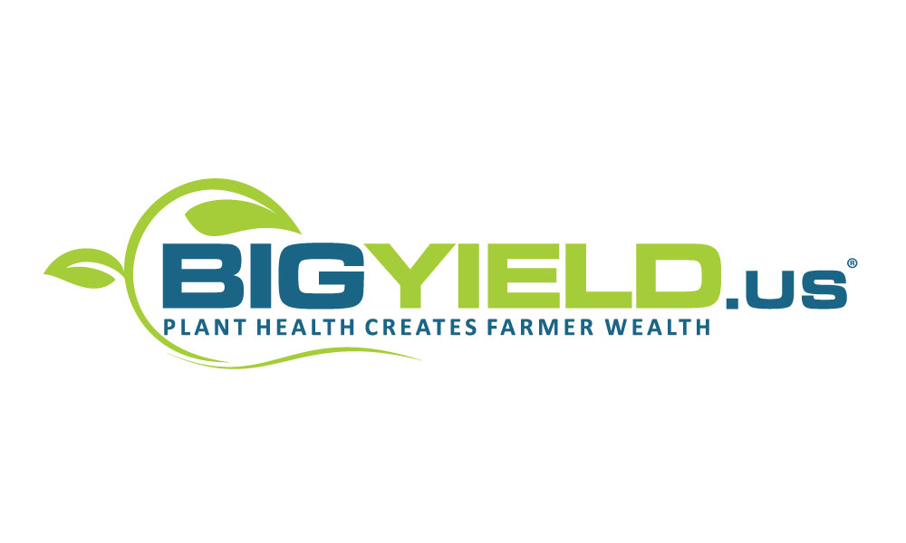 BigYield.us Sponsor