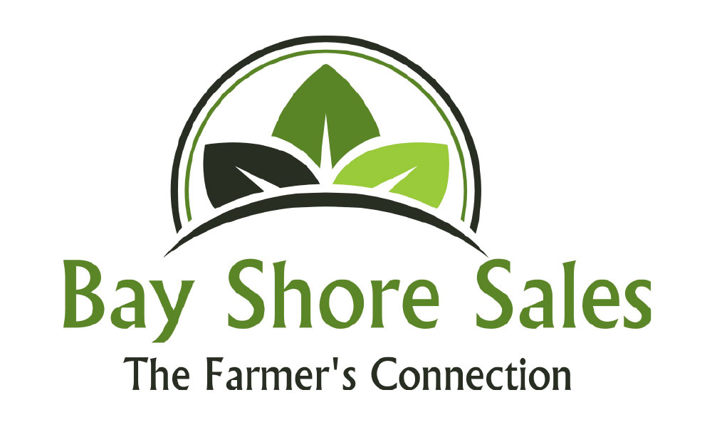 Bay Shore Sales Vendor 2018