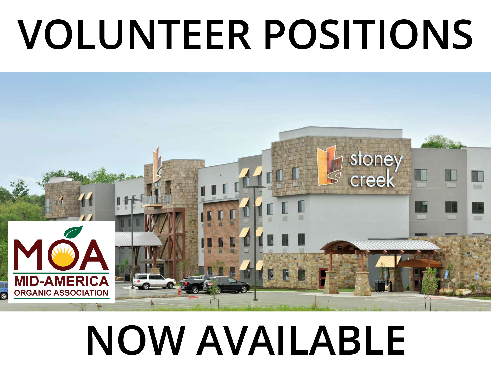 Volunteer Positions Now Open
