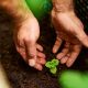 A farmer or gardener nurturing healthy soil