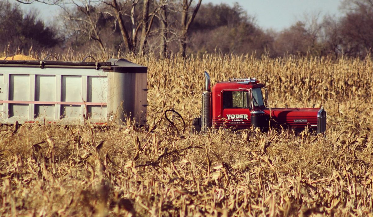 Missouri Organic Farm Feature: Five Star Family Farms - photo of a tractor in a field