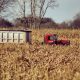 Missouri Organic Farm Feature: Five Star Family Farms - photo of a tractor in a field