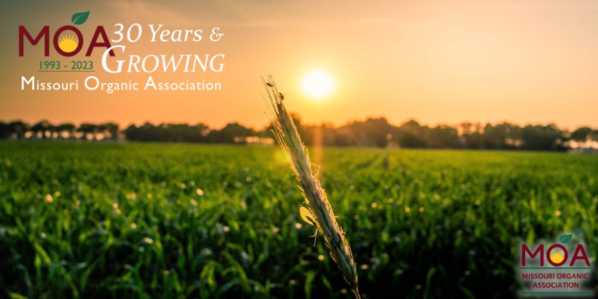 Healthy Soil is the Foundation of the MidAmerica Organic Conference