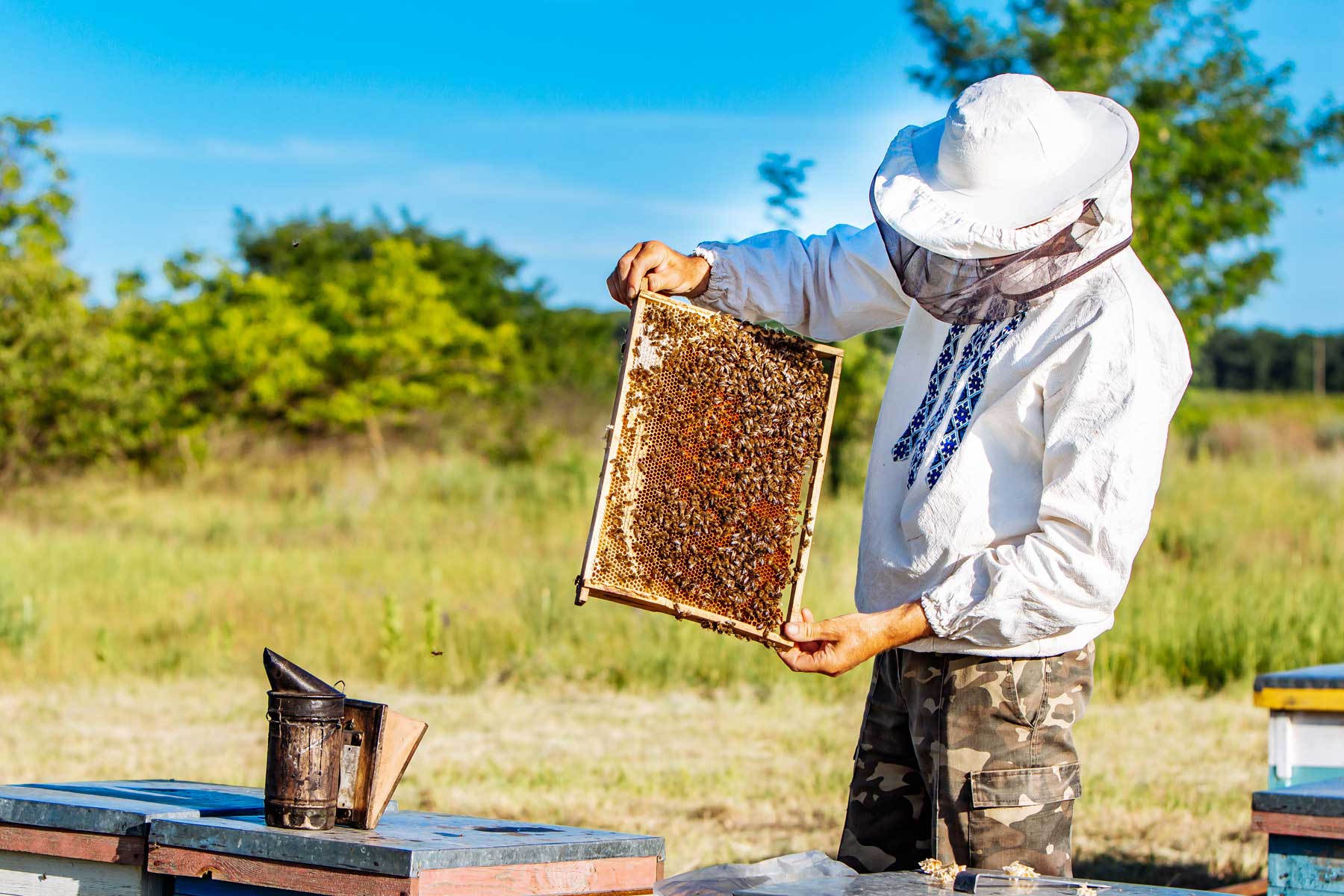 Beekeeping Pic