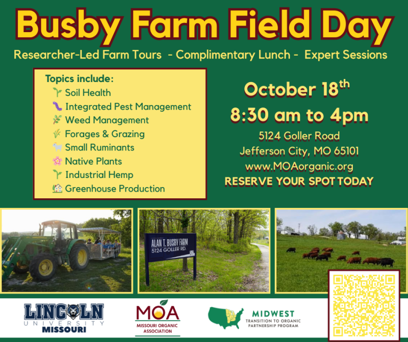 Busby Farm Field Day - Image 4
