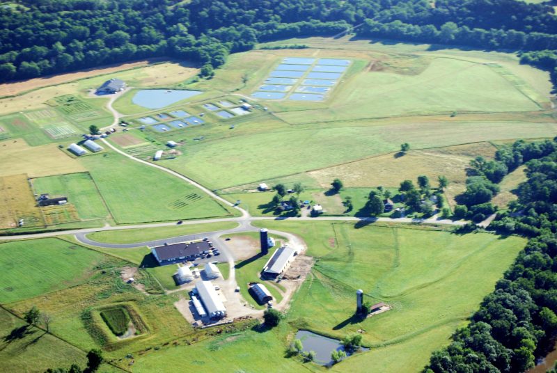 Busby Farm Field Day