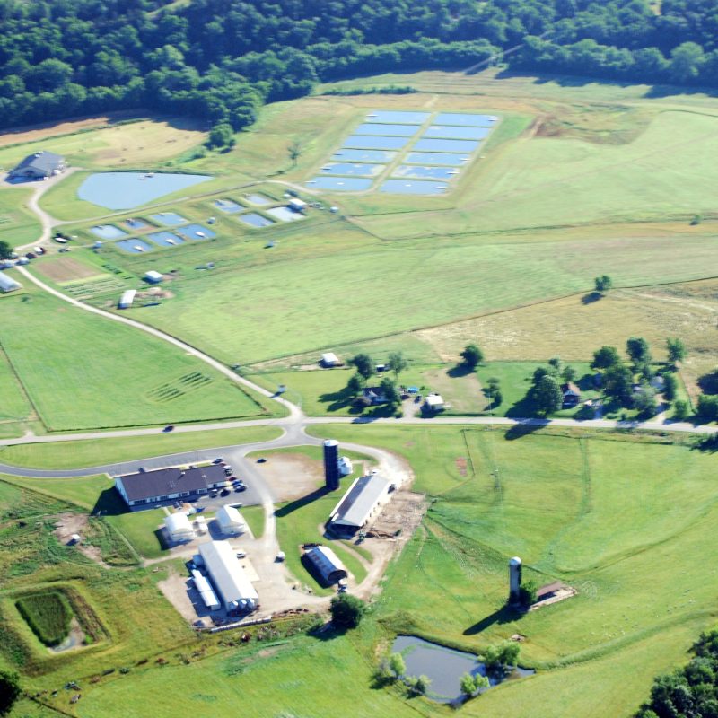 Busby Farm Field Day