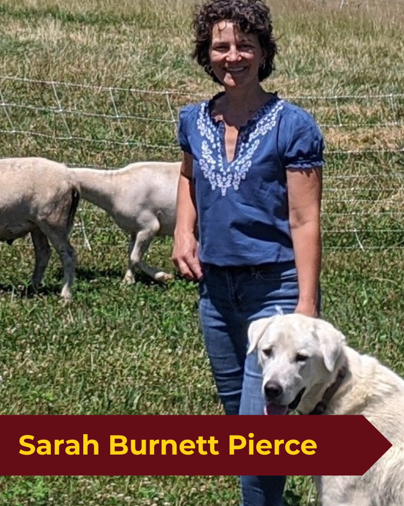 Sarah BP