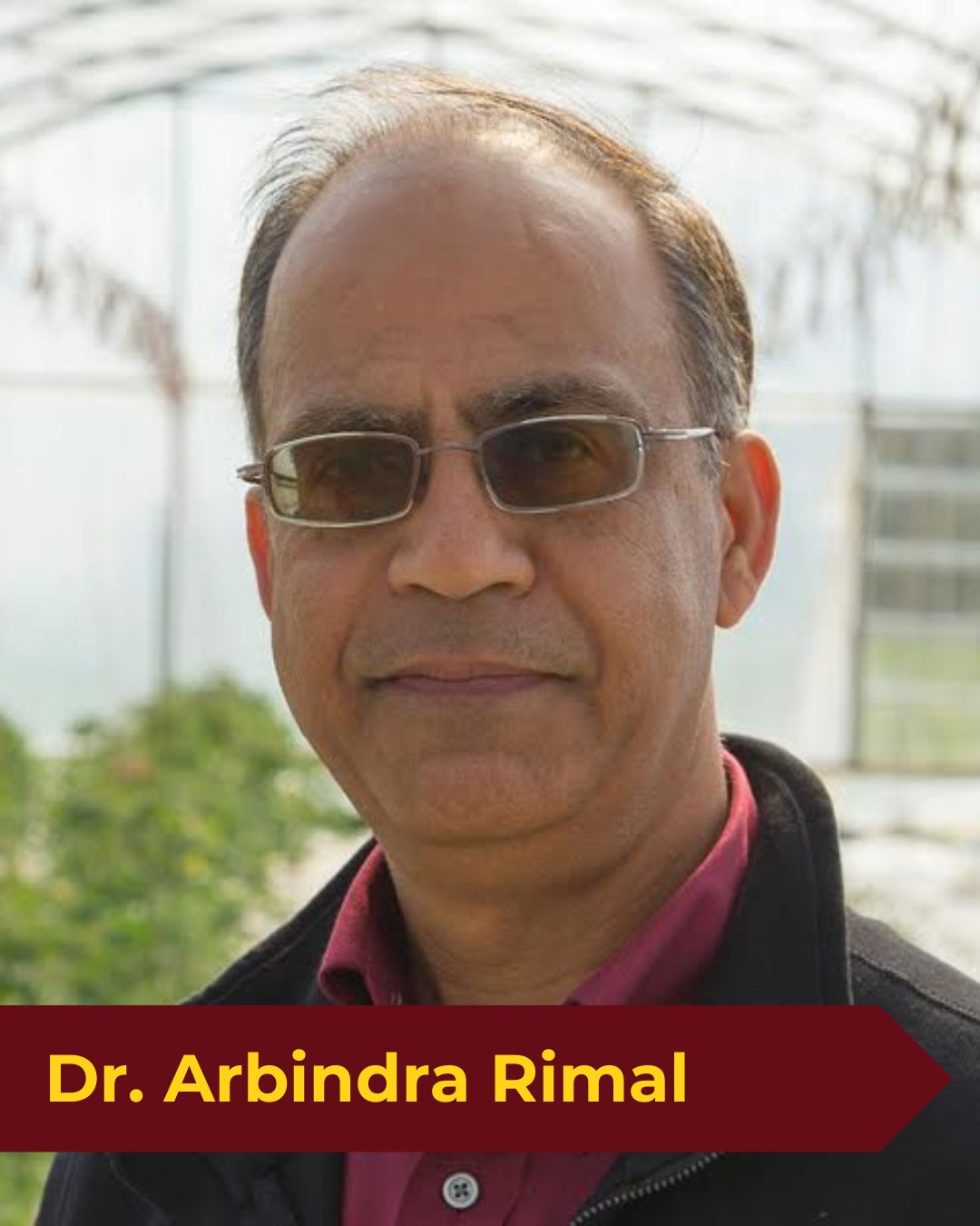 Dr. Rimal for web